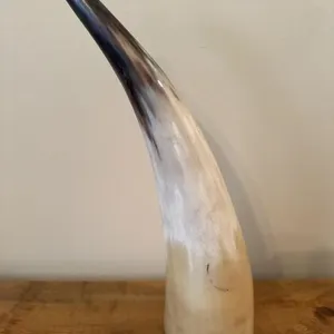 Horn 11.5”