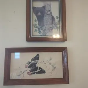 Bear and butterfly pictures in wood frames