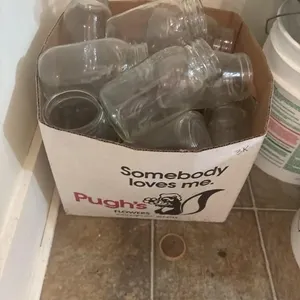 Box of canning jars