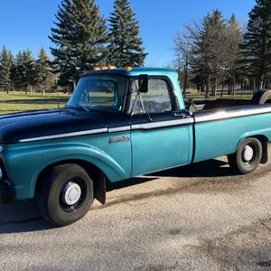 1965  Mercury  M100