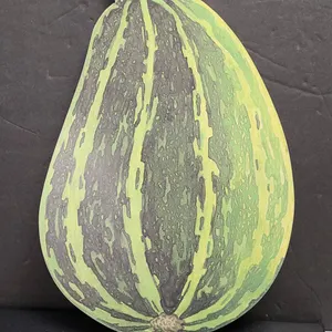 Decorative Wooden Cutting Board with Painted Green Melon Design and Hanging Hole, No Measurements Li