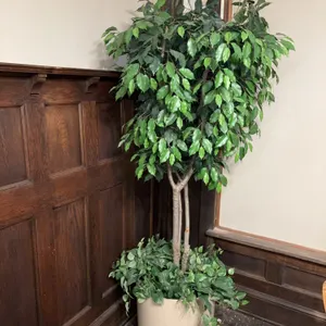 2 Faux Fig Trees