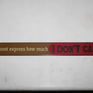 Rectangular Metal Sign With Phrase "Words Cannot Express How Much I Don't Care!" and Mounting Holes