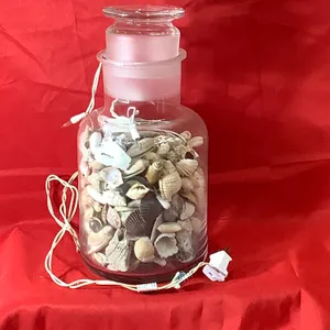 Light up your life with sea shells