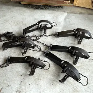 (6) Small Animal Victor Traps