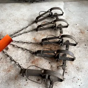 (5) Various Animal Taps