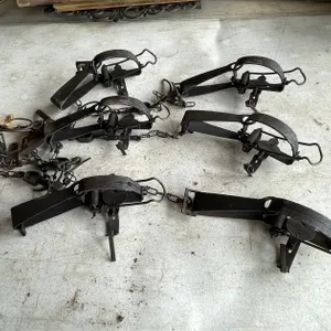 (6) Small Animal Victor Traps