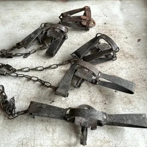 (5) Victor Animal Traps