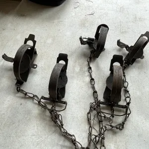 (5) Small Animal Victor Traps