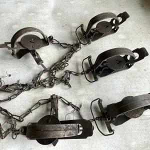 (5) Small Animal Victor Traps