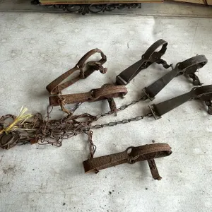 (6) Small Animal  Traps