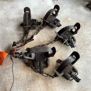 (5) Victor Animal Traps