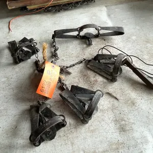 (5) Victor Animal Traps