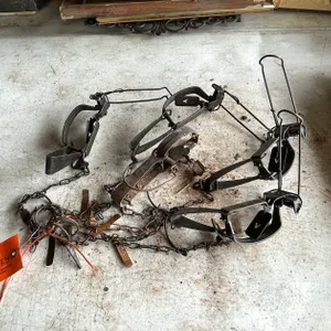 (5) Victor Animal Traps