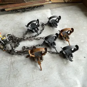 (6) Small Animal Duke Traps