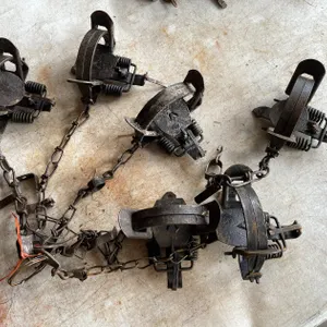 (6) Victor Animal Traps