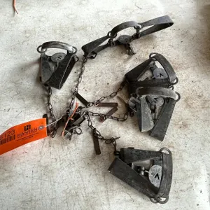 (5) Victor Animal Traps