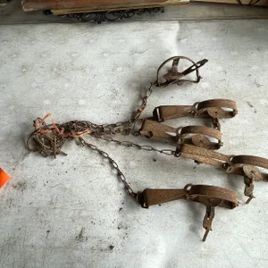 (5) Small Animal Victor Traps
