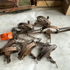 (6) Victor Animal Traps