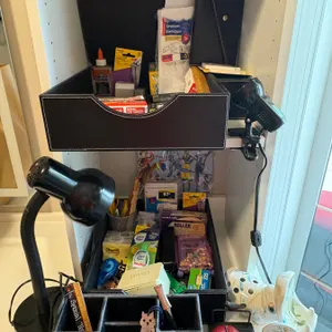 Office Supplies and Decor Lot