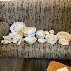 Corelle Dishes (Abundance)