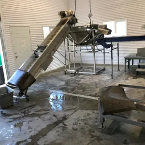 Complete Cherry Pitting & Processing Line