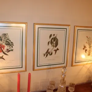 Hummingbird Prints