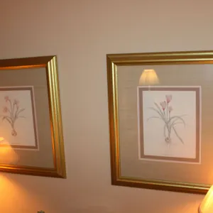 Botanical Prints
