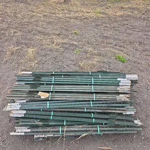 T posts