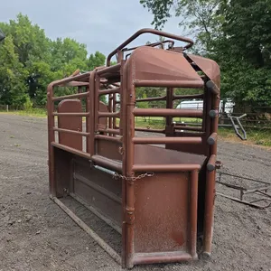 Hiqual calf roping chute