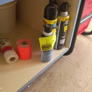 Assorted aerosol spray cans. Includes Raid insect sprays and miscellaneous aerosol cans. Cabinet and background items not included.