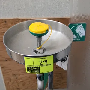 Haws wall-mounted eyewash station. Features a stainless steel round bowl, spray head with tethered dust cover, and push-flag activation handle. Includ