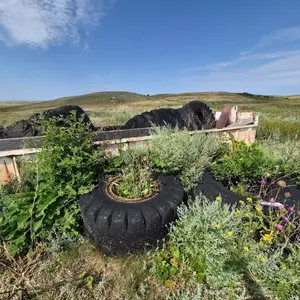 Assortment of Tires
 UNRESERVED