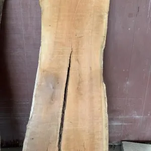 1 Piece Live Edge Wood Slab