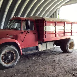 1967 IHC Loadstar 1600 grain truck
