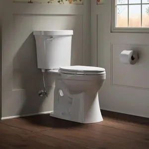 Kohler Maxton 2-piece Elongated Toilet Rt $380