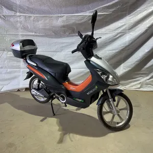 Eco Ped Electric Bicycle