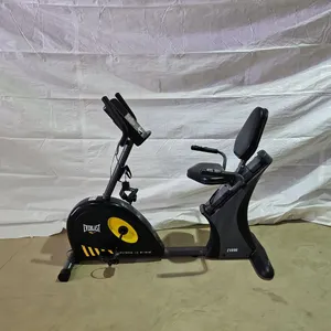 Everlast 896 Recumbent Bike