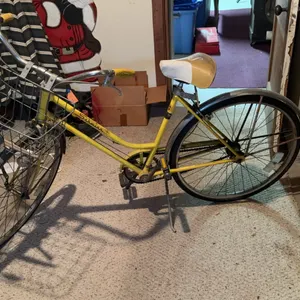 Vintage Schwinn Ladies Bicycle with Basket