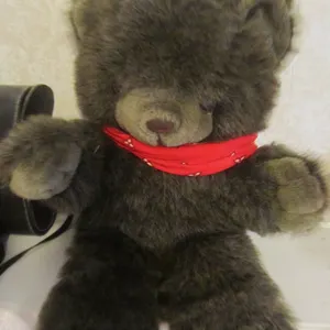 Cuddle Wit Teddy Bear