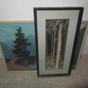 (2) Prints