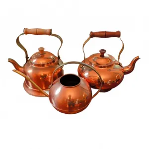 Portuguese Copper Teapots and Watering Can Trio