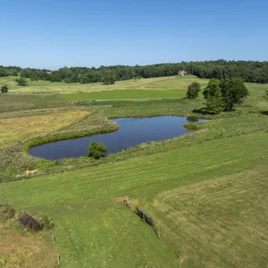 24.5 Acre Pasture with Equine Arena