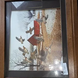 Bird Print 24.5"x20.5"