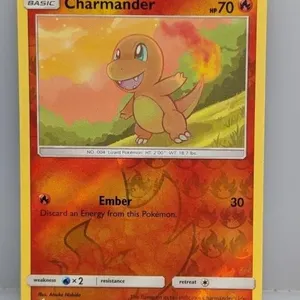 2019 Pok�mon Charmander�Surface