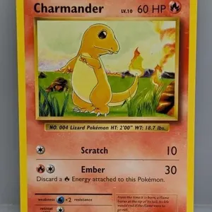 2016 Pok�mon Charmander Surface