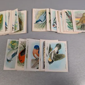 Vintage Church & Dwight Co. Useful Birds of America Trade Cards