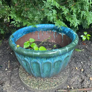 Gorgeous, large pottery planter