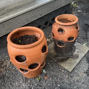 Large strawberry pots