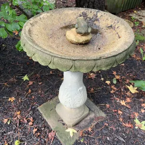 Concrete birdbath
